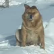 ������ ������������ user11620761