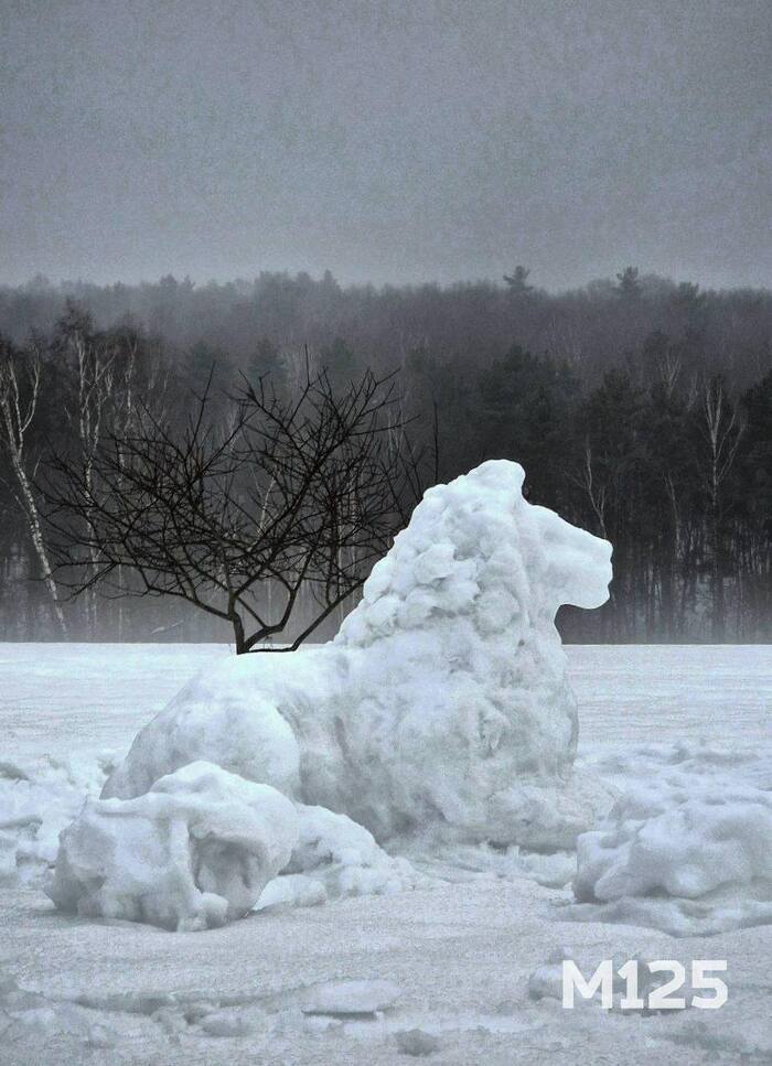 Король Битцы в грустном ожидании весны