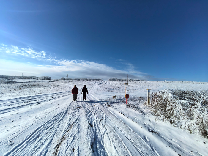 ���� � ������ �� ������ ������