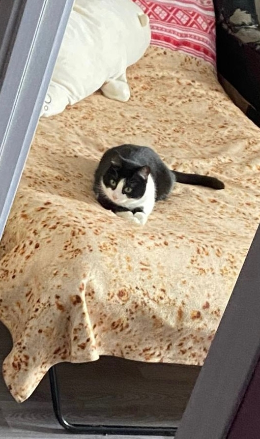 ������ ����� �������!