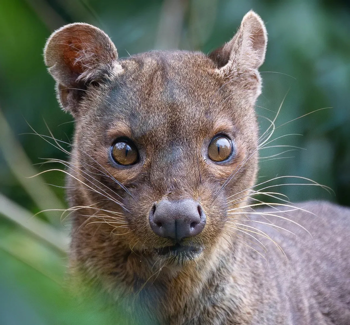 ������ � ����