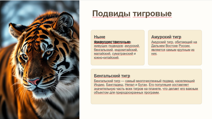 Результат генерации