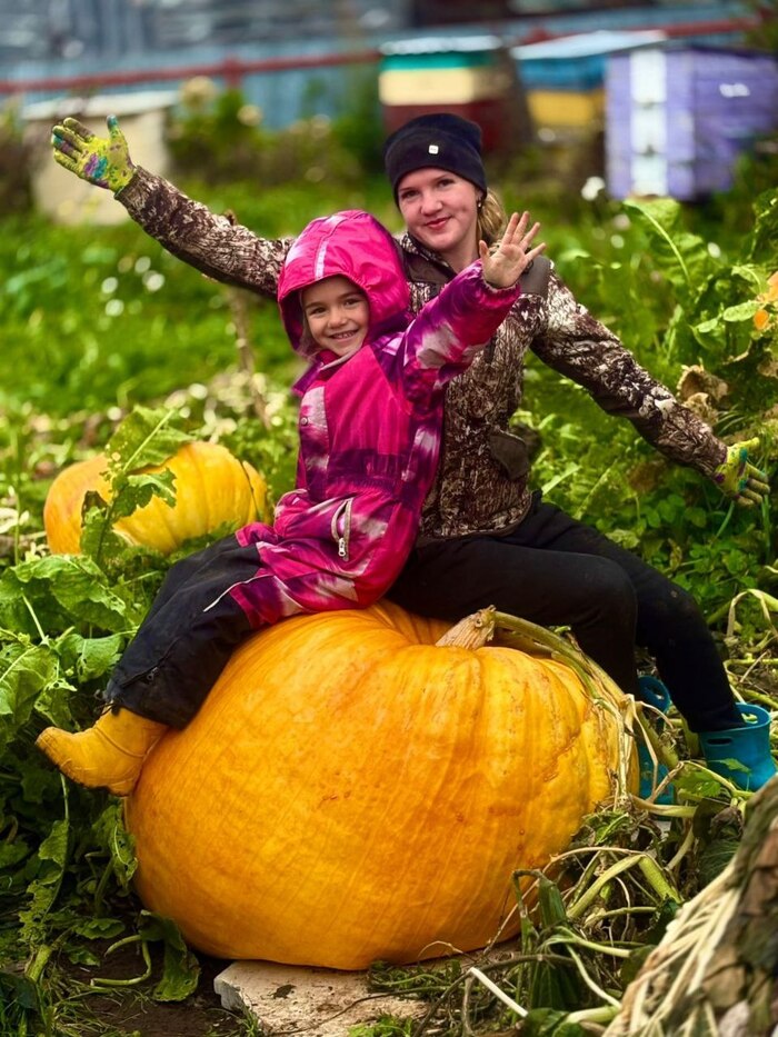 �������� � � ������� � 2025 ����