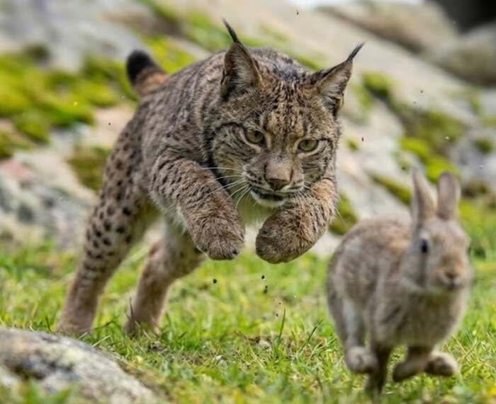 ��, ������, ������!