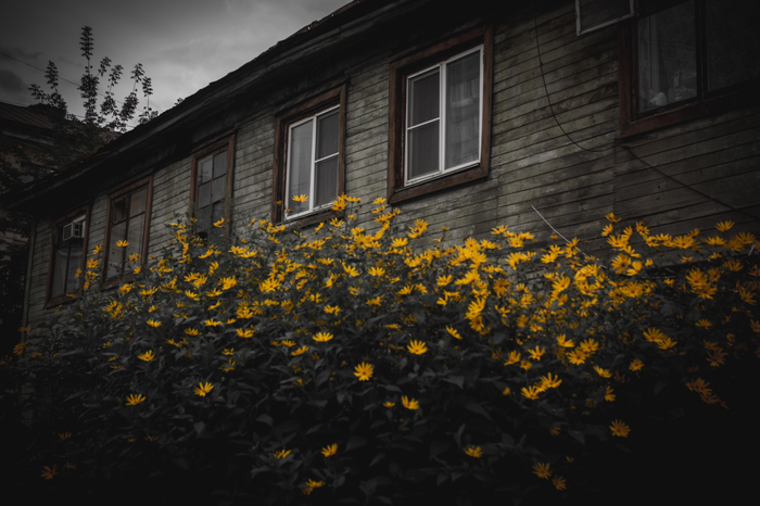 ����� �������� �������� � ���������� <!--noindex--><a href="https://pikabu.ru/story/dozhivaet_svoy_vek_khabarovsk_ul_gogolya_10_1930_god_postroyki_13749965?u=http%3A%2F%2Ffoto-27.ru&t=foto-27.ru&h=c4dc76c26257bb313f0b0a64ab74262f5d50ea62" title="http://foto-27.ru" target="_blank" rel="nofollow noopener">foto-27.ru</a><!--/noindex-->