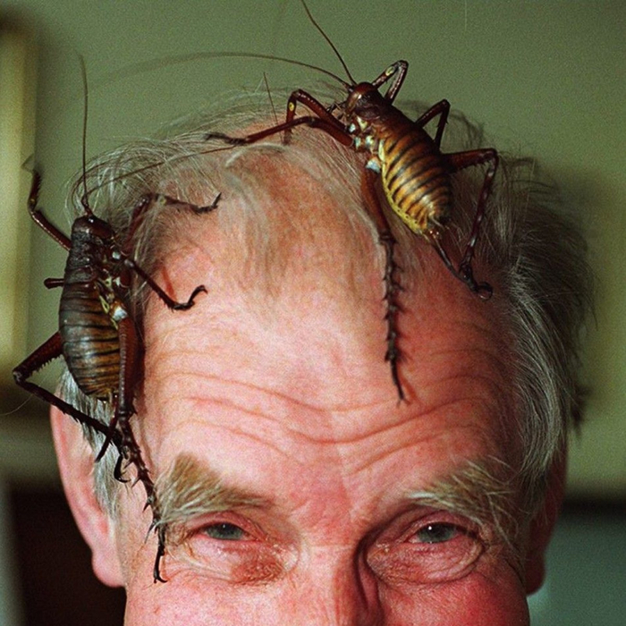 � ������, ��� ��� �� � �� ����������� �� ����������, �� �������� ��� �� ����.