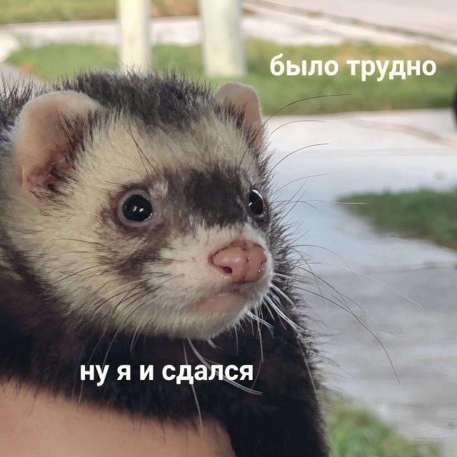 � ������, ������ ��� ��� ��� �� �������