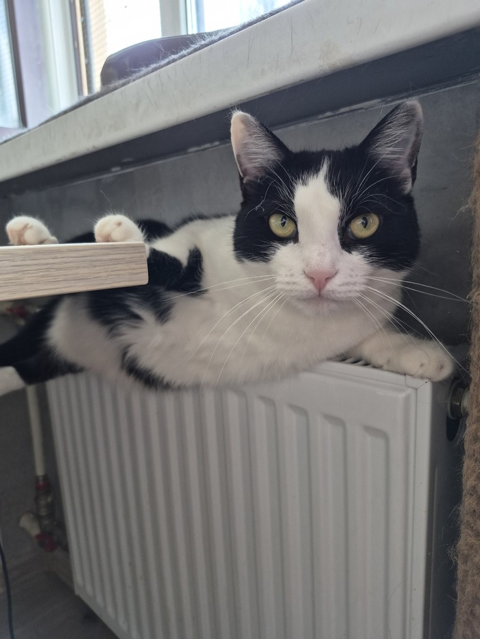 ������ ��� �� ����� ������