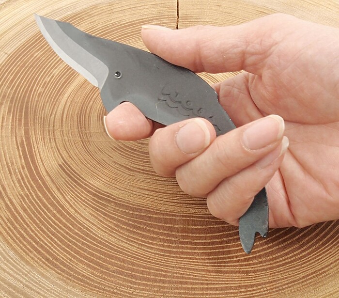 ����� ��������� (�)