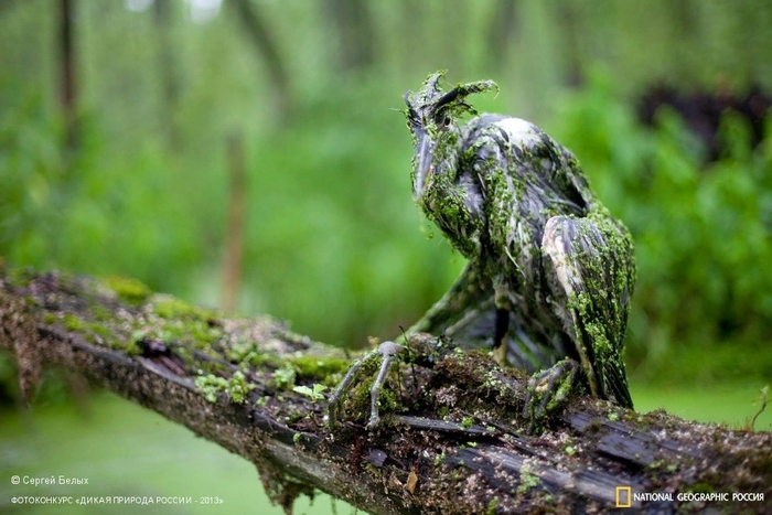 �� ���? ������ ��������? �� ����� ���� �� ���� ���� ������� ������� ����� �����. ������ �������� ������� � ������.