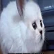 ����� ����� ������ ���� �����������