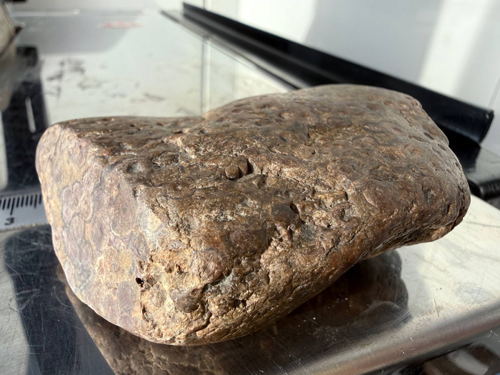 ���� � ��������