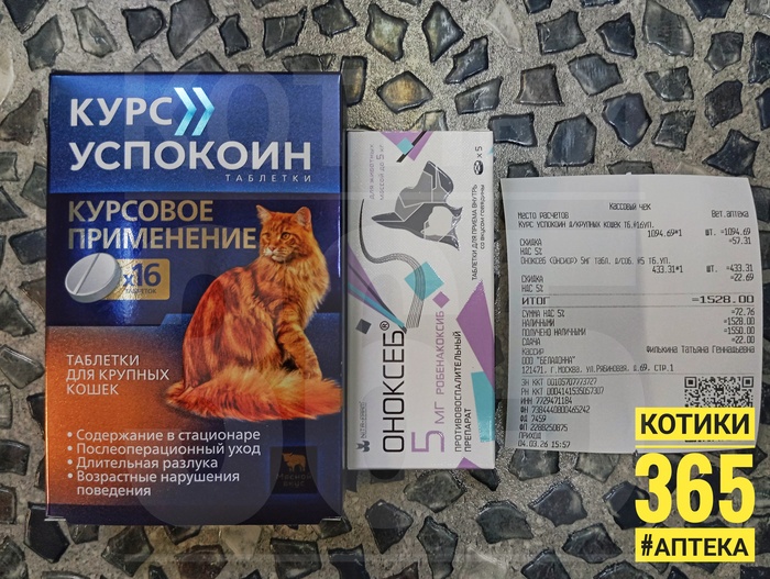 �������� 04.03.2026