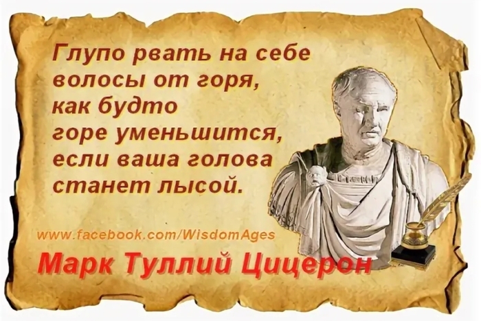 Мудрость дня