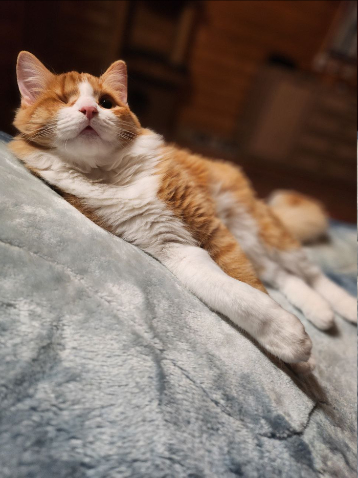 ����� ����� ����������?