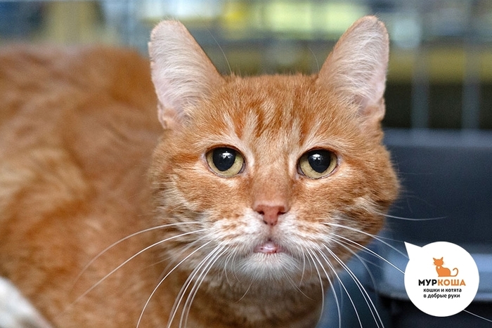 ��� ������, 9 ���, ������ �� ���������� ������. ��������������� ���, ���. �������������� ������������ ������� ��� � ����� � �������-���������� ���, ���. ��� � ��� �� ������ ��� �������� � �������� ������ ����� � �� ���������� ��.