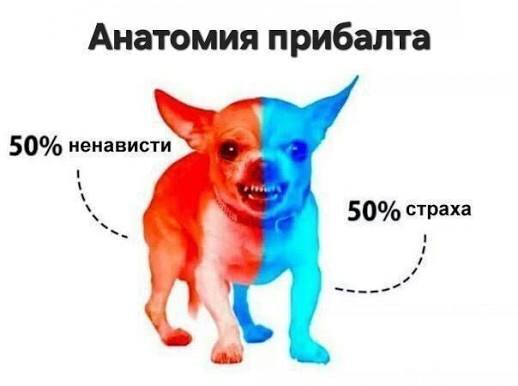 ����������� ����� ������ ��� ������� ��������� ����������� �� ��������� � ��� ��� ���