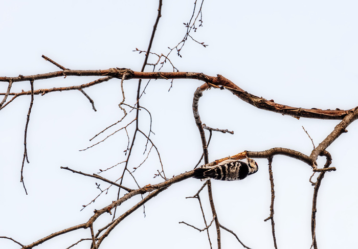 ������� �� �����