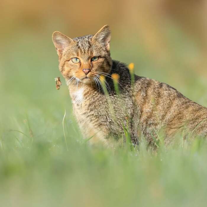 ������, � ����� ��� � ���� ������?