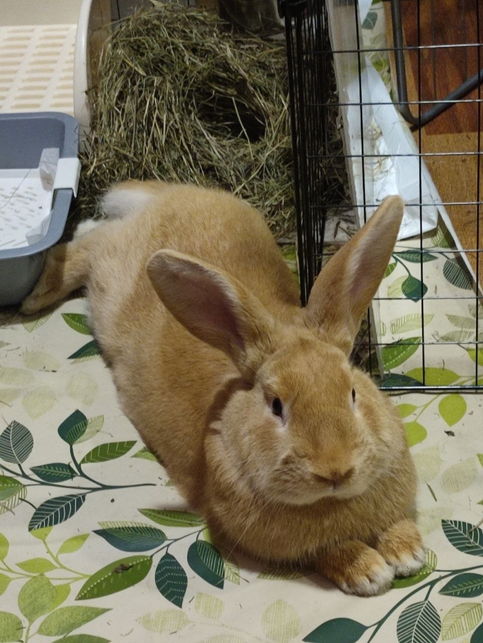 ������� � ���� ������ � ��� ����...