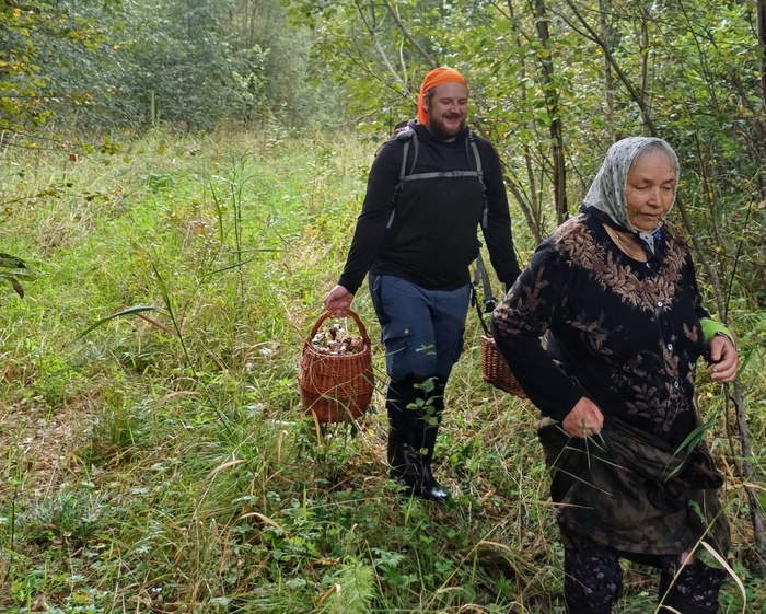 ��������� "���������" �������� ������������� ������������ ������ ��������� �����. 