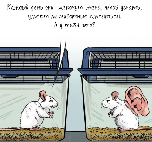 Просто заткнись