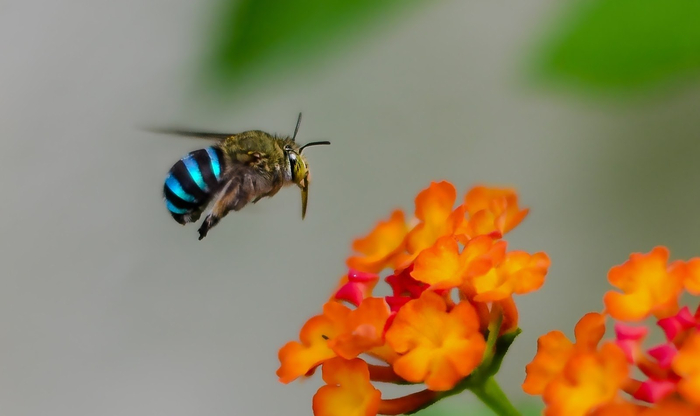 ������������ ���������.