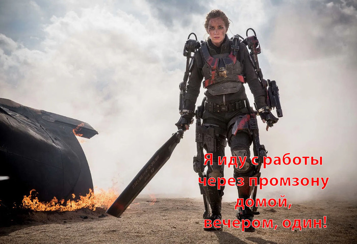 Не бойтесь - они не кусаются...