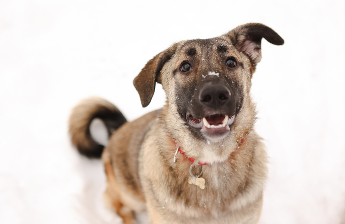 � ����� � � �����? 89263303551 �������