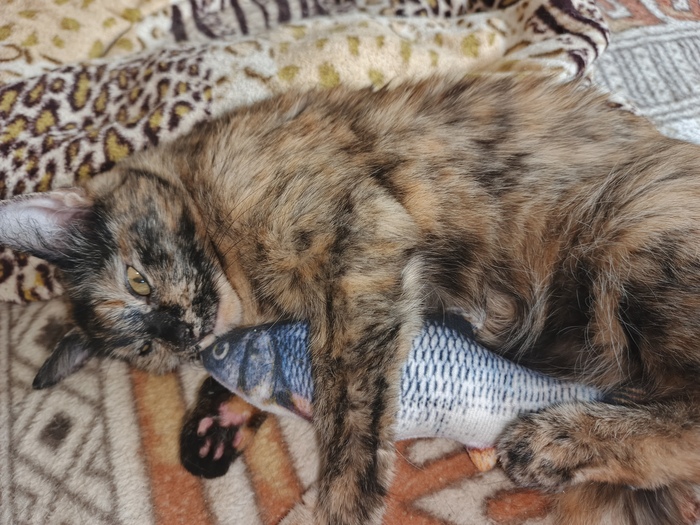 �������� ������ ���������