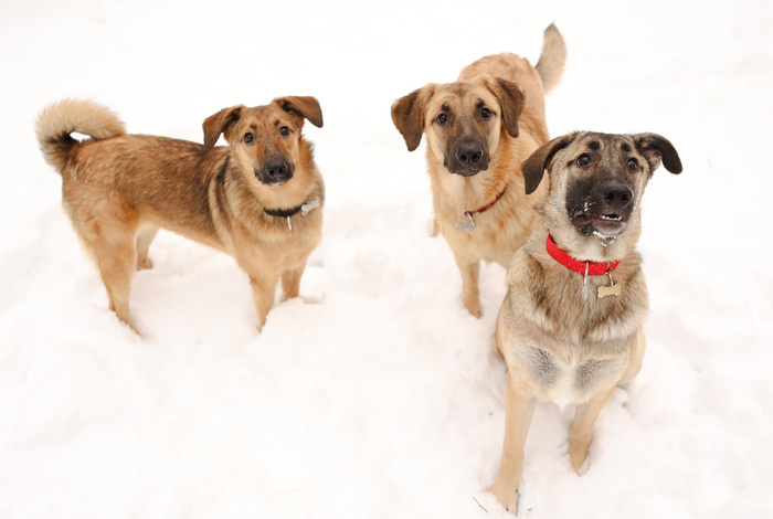 � ���, ���� � �������, ���� �� ����