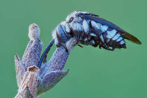 ��� ����� � ����� ���������� ���������� ���������.