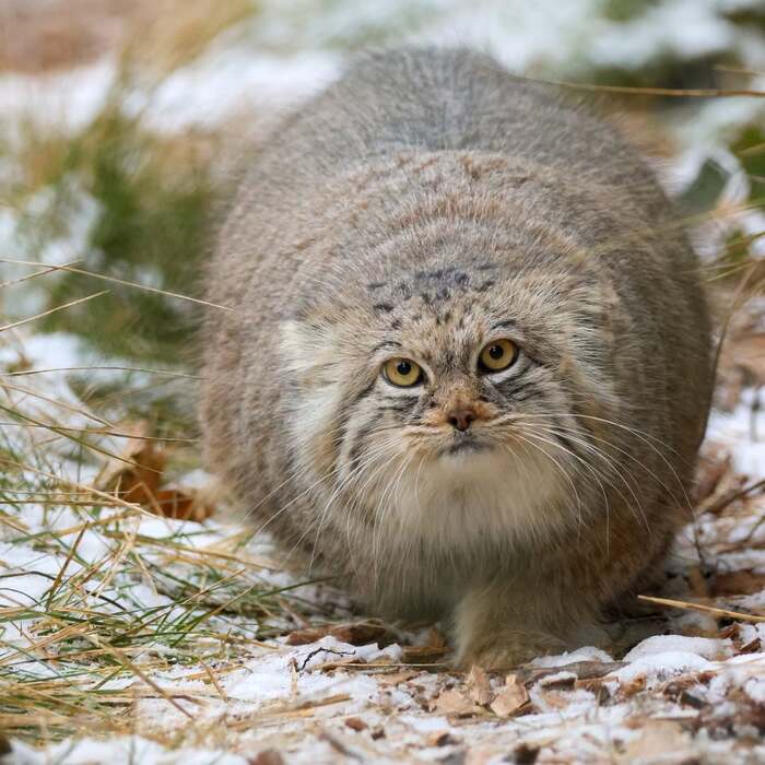 ����������!