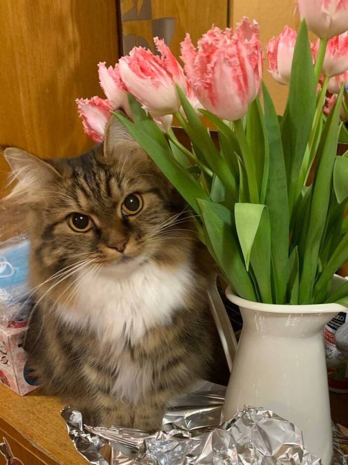 ������ ����� ������, � ��� ���� �����