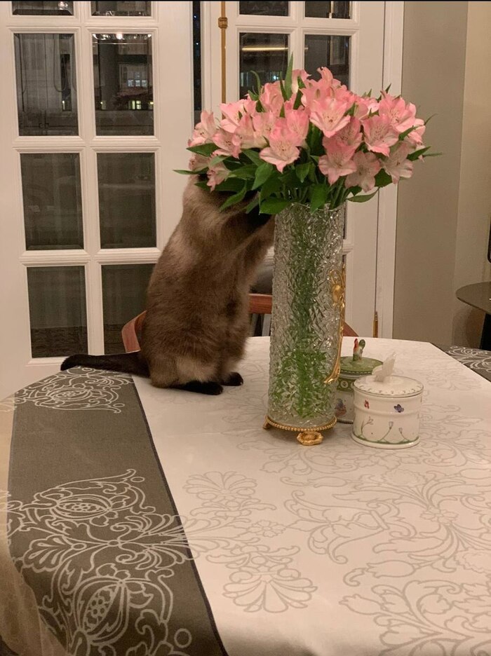 ���� ������? � �� ����! ��� ���������