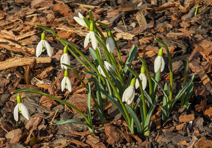 ����������� � ������ ����������. ���� �. ���������.