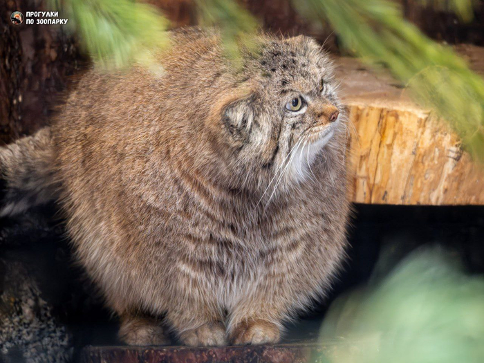 ��� ��� ����� � ���� � �������?