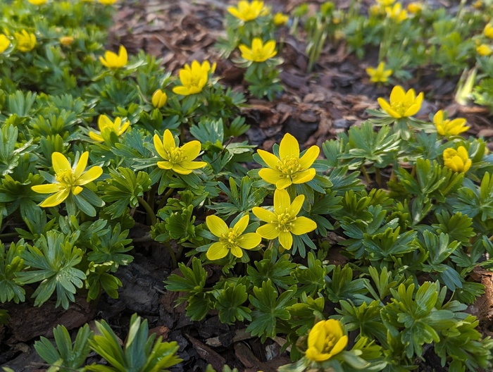 ������ �������� ������. ���� �. ���������.