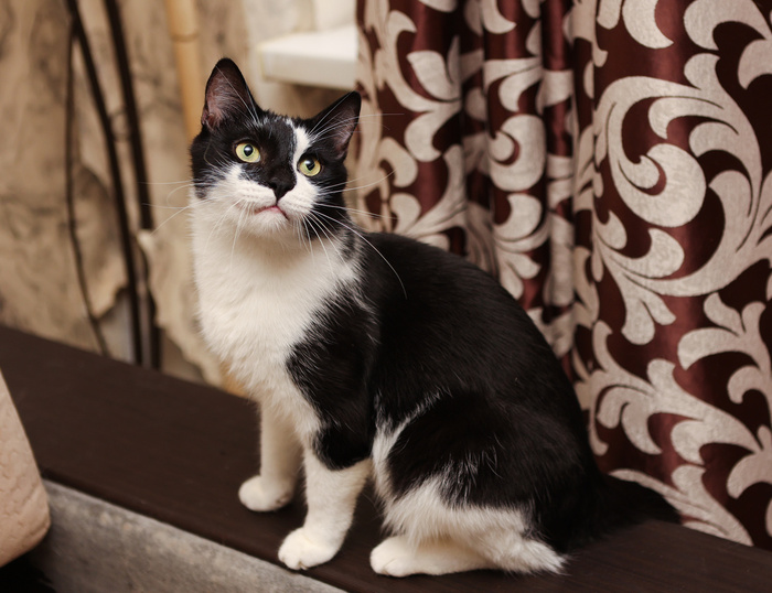 ������ ������! ��� ������ ���� �� ������� - ��� ��� ������!