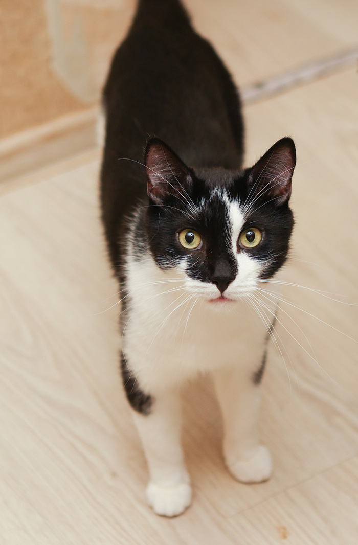 ���������, ��� �� ������� �� �����? � � ���������� ������