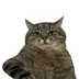 user11621438