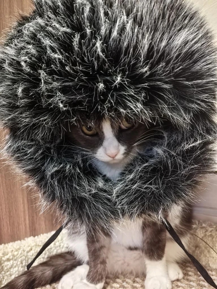 ������� ��������� �����