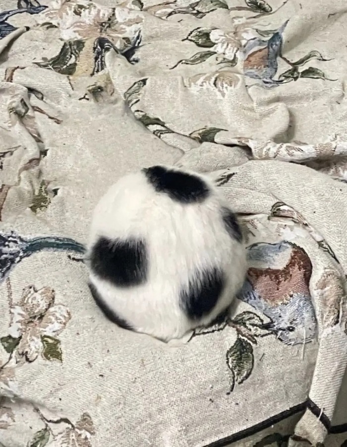 �� ���! �������