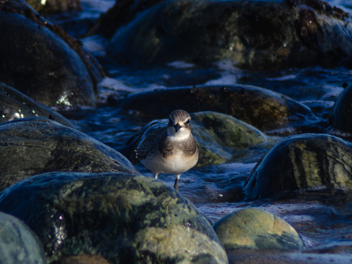 ����������📸