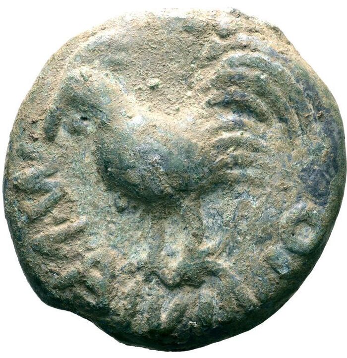 �� ������� ����� � ������� M�LAVINIO