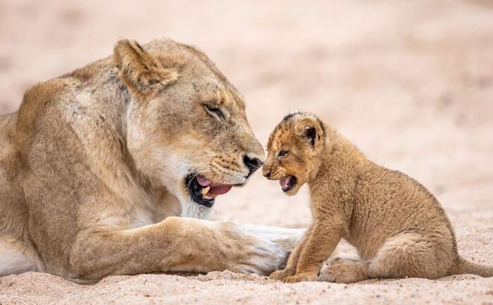 �������� � �����