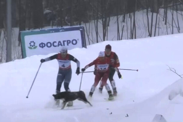 ���������� ������� �������� ������ � �������� ����� ����, ��� �� ����� ������