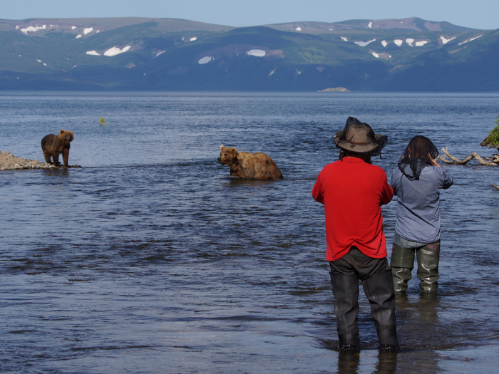 ���������� ������� �� �������.