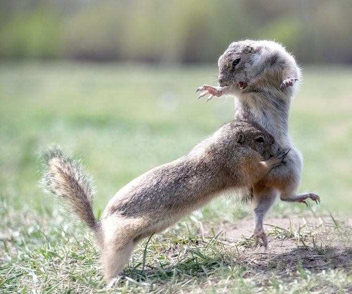 ����� ����: ������ ������