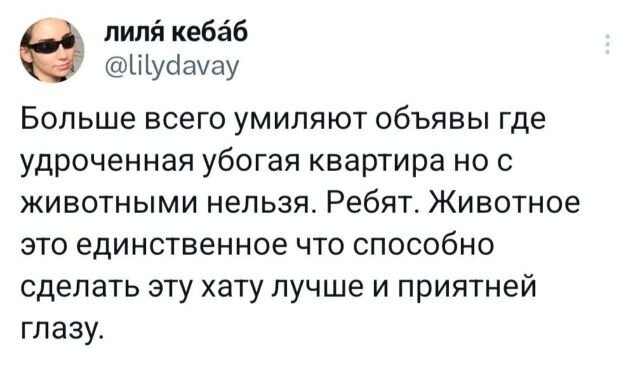 ��� ����